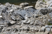 G1 下相のジュラ紀化石の露頭