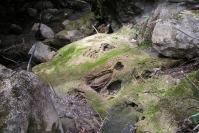 層状トゥファ（現在進行形の新しい石。炭酸塩岩）