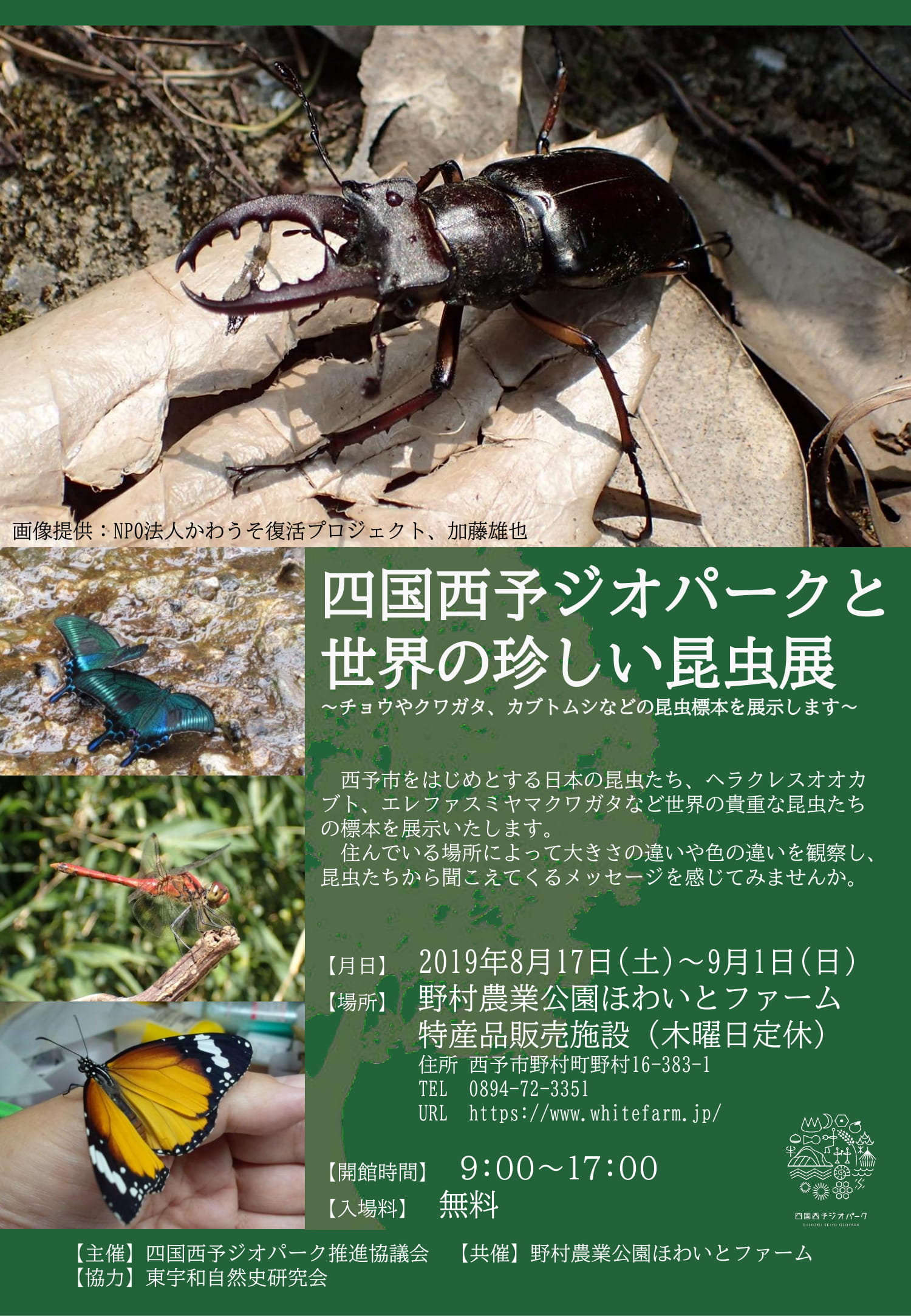 四国西予ジオパークと世界の珍しい昆虫展」を開催します | イベント