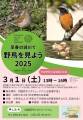 20250301野鳥観察会チラシ_最終クレジット入り