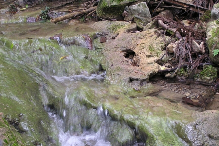 G5 中津川のトゥファ