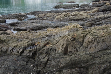 R4 俵津のしましま地層