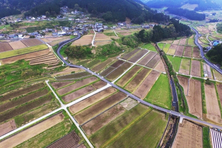 G6 魚成の河成段丘