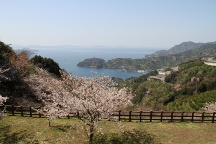 明浜のリアス海岸
