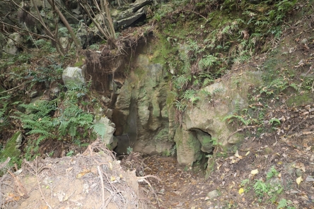 R5 蔵貫白石鍾乳洞と石灰岩