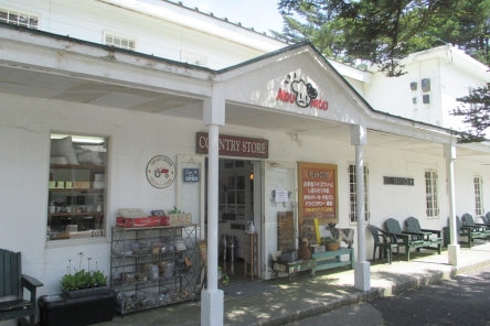 カフェ もみの木